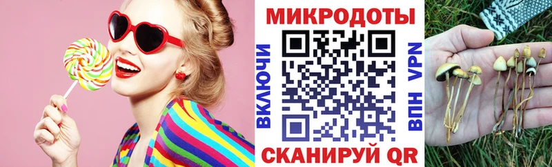мега как войти  Собинка  Псилоцибиновые грибы Cubensis  закладка 